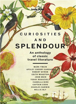 Curiosities and Splendour 1