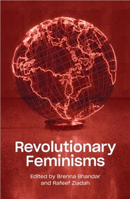 Revolutionary Feminisms：Conversations on Collective Action and Radical Thought