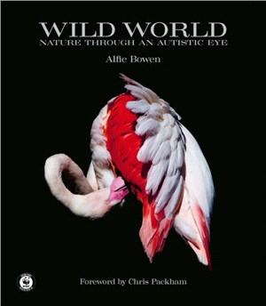 Wild world /