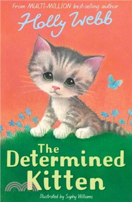 The Determined Kitten