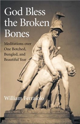 God Bless the Broken Bones：Meditations over One Botched, Bungled, and Beautiful Year