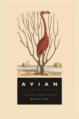 Avian illuminations :a cultural history of birds /