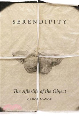 Serendipity：The Afterlife of the Object