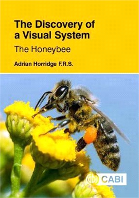 The Discovery of a Visual System - the Honeybee