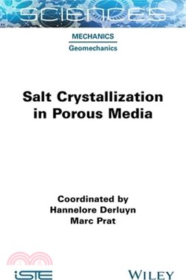 Salt Crystallization in Porous Media