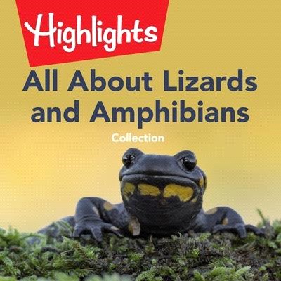 All about Lizards and Amphibians Collection Lib/E