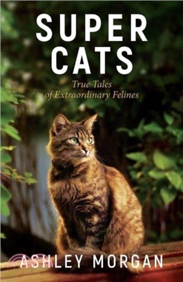 Super Cats: True Tales of Extraodinary Felines