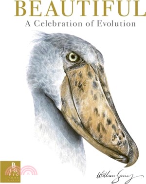 Beautiful：A Celebration of Evolution