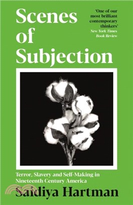 Scenes of Subjection：Terror, Slavery and Self-Making in Nineteenth Century America