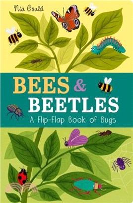 Bees & Beetles: A Flip-Flap Book of Bugs