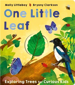 One little leaf : exploring ...