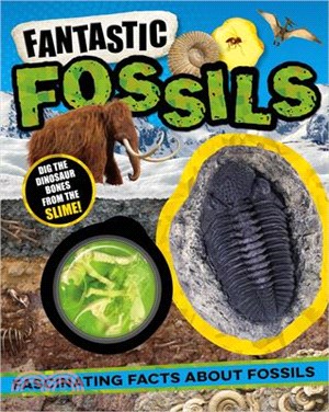 Fantastic Fossils