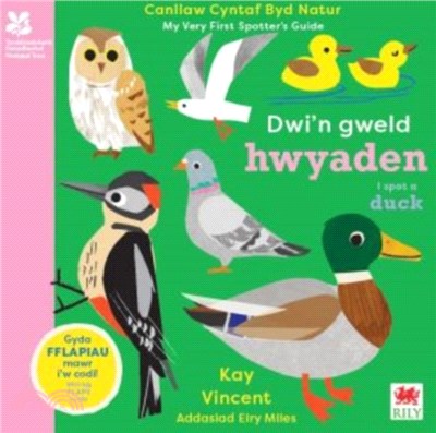 Dwi'n Gweld Hwyaden / I Spot a Duck：Canllaw Cyntaf Byd Natur / My Very First Spotter's Guide