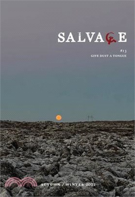Salvage #13
