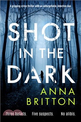 Shot in the Dark：A gripping crime thriller with an unforgettable detective duo