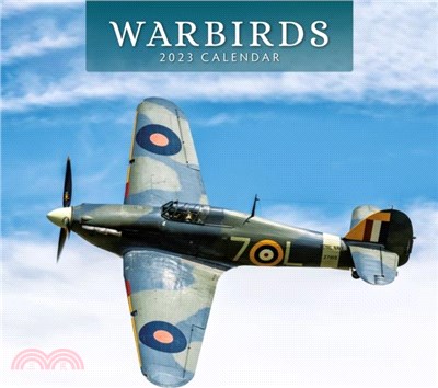 WARBIRDS 2023 SQUARE WALL CALENDAR