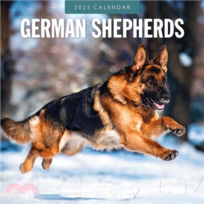 German Shepherds 2025 Square Wall Calendar