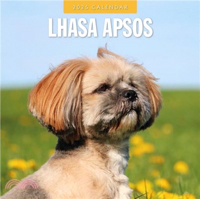 Lhasa Apsos 2025 Square Wall Calendar