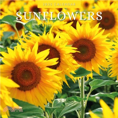 Sunflowers 2025 Square Wall Calendar