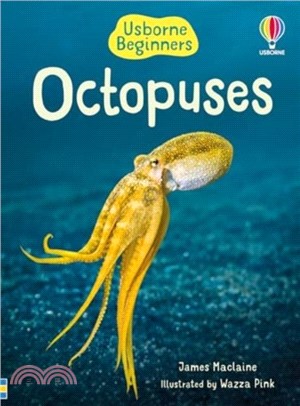 Beginners Octopuses