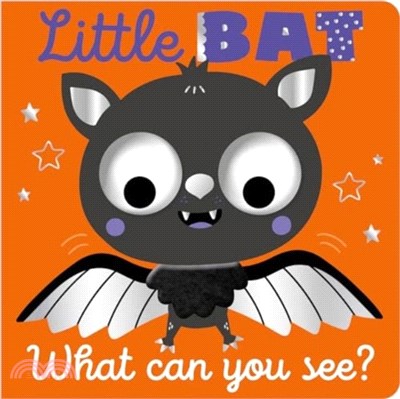 Little Bat What Can You See?