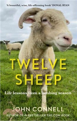 Twelve Sheep：Life lessons from a lambing season