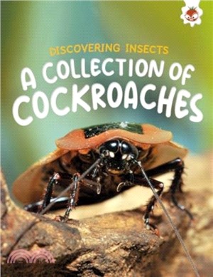 Discovering Insects: A Collection of Cockroaches