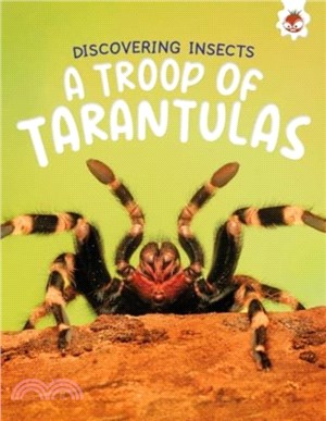 Discovering Insects: A Troop of Tarantulas