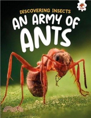 Discovering Insects: An Army of Ants