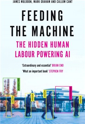 Feeding the Machine：The Hidden Human Labour Powering AI