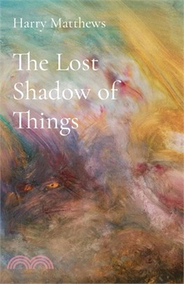 The Lost Shadow of Things