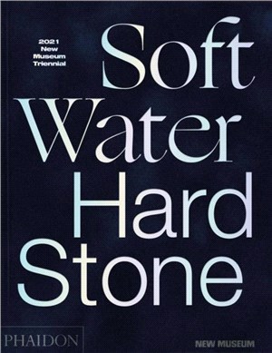 Soft Water Hard Stone：2021 New Museum Triennial