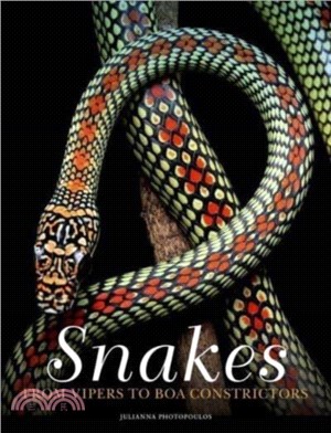 Snakes: From Vipers to Boa Constrictors