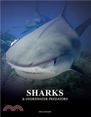 Sharks and Underwater Predators