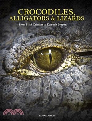 Crocodiles, Alligators & Lizards：From Black Caimans to Komodo Dragons