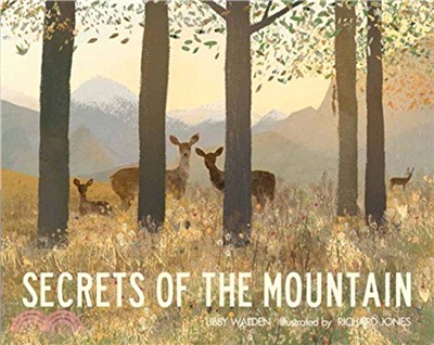 Secrets of the mountain /