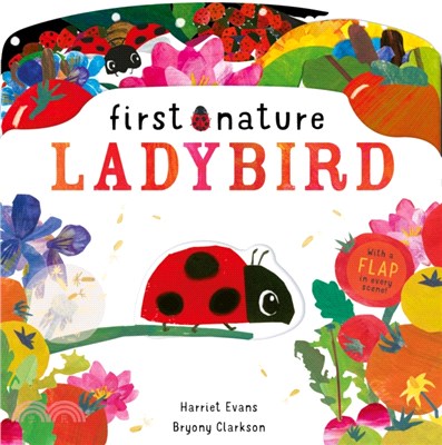 First Nature 3: Ladybird