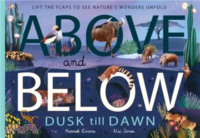 Above and Below: Dusk till Dawn：Lift the flaps to see nature's wonders unfold