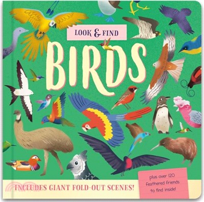 Look & Find：Insects and Minibeasts