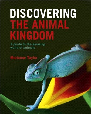 Discovering The Animal Kingdom：A guide to the amazing world of animals