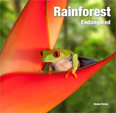 Rainforest ― Endangered