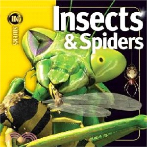 Insiders Insects And Spiders