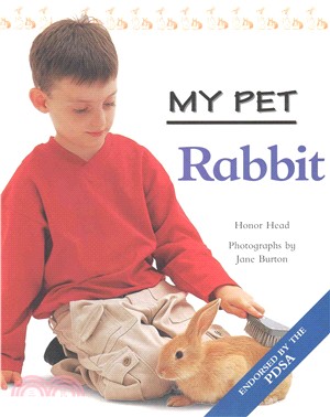 My Pet Rabbit