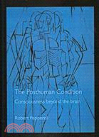 The Posthuman Condition ─ Consciousness Beyond the Brain