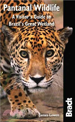 Pantanal Wildlife ─ A Visitor's Guide to Brazil's Great Wetland