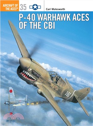 P-40 Warhawk Aces of the Cbi