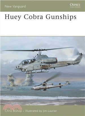 Huey Cobra Gunships