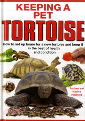 Keeping a Pet Tortoise