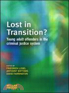 Young Adult Offenders：Lost in Transition?