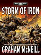 Storm of iron /